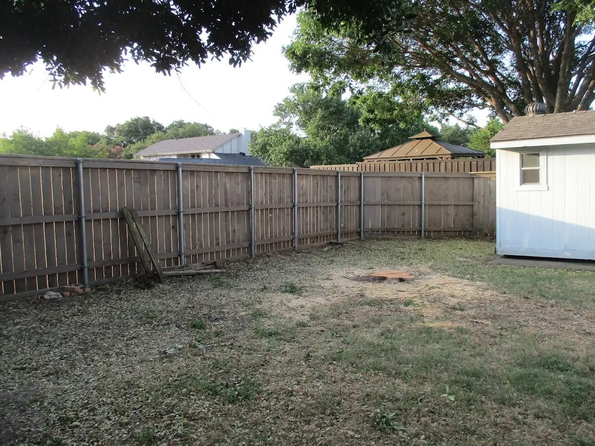 Cleared yard after professional tree removal in South Ozone Park